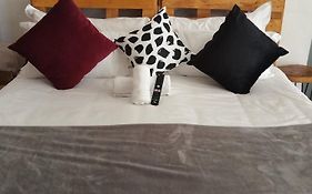 The King Suite With Huge Balcony Pool View And Lightning Fast Wifi